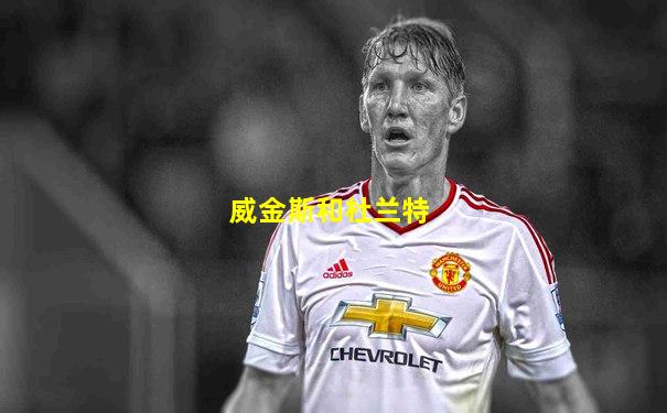 威金斯和杜兰特