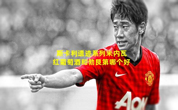 斯卡利遗迹系列米内瓦红葡萄酒和勃艮第哪个好