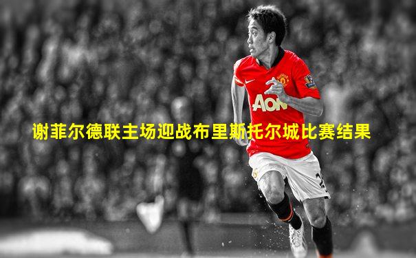 谢菲尔德联主场迎战布里斯托尔城比赛结果