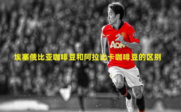 埃塞俄比亚咖啡豆和阿拉比卡咖啡豆的区别