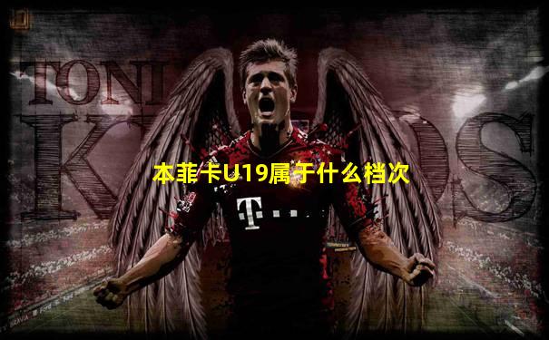 本菲卡U19属于什么档次