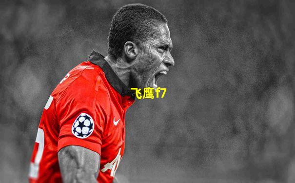飞鹰f7
